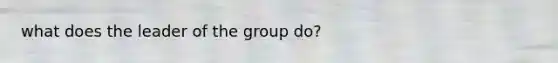 what does the leader of the group do?