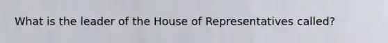 What is the leader of the House of Representatives called?