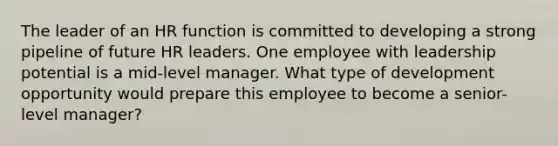 The leader of an HR function is committed to developing a strong pipeline of future HR leaders. One employee with leadership potential is a mid-level manager. What type of development opportunity would prepare this employee to become a senior-level manager?