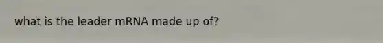 what is the leader mRNA made up of?