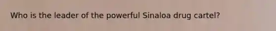 Who is the leader of the powerful Sinaloa drug cartel?