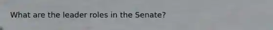 What are the leader roles in the Senate?