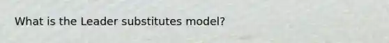 What is the Leader substitutes model?