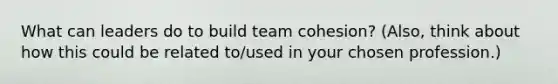 What can leaders do to build team cohesion? (Also, think about how this could be related to/used in your chosen profession.)