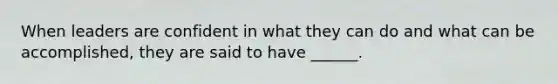 When leaders are confident in what they can do and what can be accomplished, they are said to have ______.