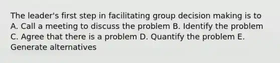 The leader's first step in facilitating group decision making is to A. Call a meeting to discuss the problem B. Identify the problem C. Agree that there is a problem D. Quantify the problem E. Generate alternatives