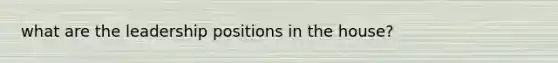 what are the leadership positions in the house?