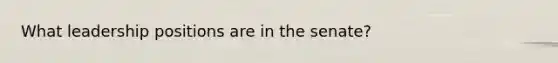 What leadership positions are in the senate?