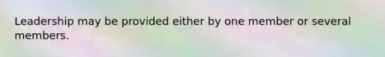 Leadership may be provided either by one member or several members.