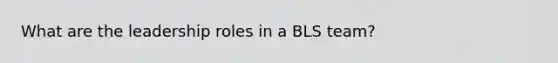 What are the leadership roles in a BLS team?