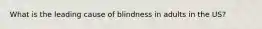 What is the leading cause of blindness in adults in the US?