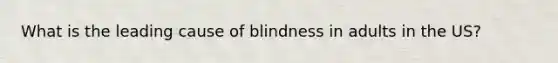 What is the leading cause of blindness in adults in the US?