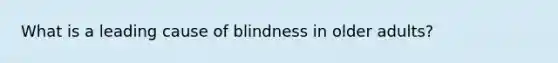 What is a leading cause of blindness in older adults?