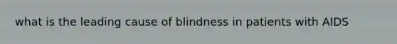 what is the leading cause of blindness in patients with AIDS