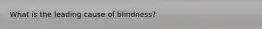 What is the leading cause of blindness?