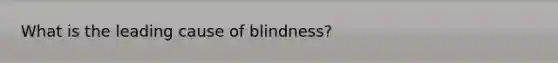 What is the leading cause of blindness?