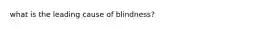 what is the leading cause of blindness?