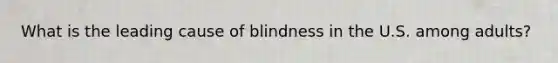 What is the leading cause of blindness in the U.S. among adults?