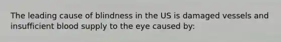 The leading cause of blindness in the US is damaged vessels and insufficient blood supply to the eye caused by: