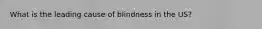 What is the leading cause of blindness in the US?