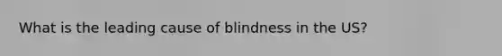 What is the leading cause of blindness in the US?