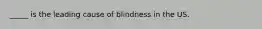 _____ is the leading cause of blindness in the US.