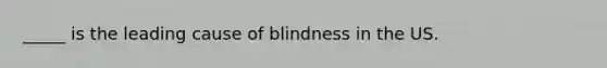 _____ is the leading cause of blindness in the US.