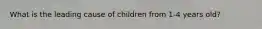 What is the leading cause of children from 1-4 years old?