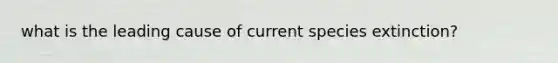 what is the leading cause of current species extinction?