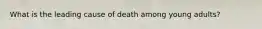 What is the leading cause of death among young adults?