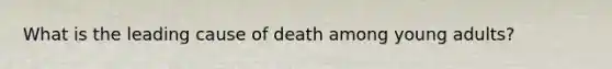 What is the leading cause of death among young adults?