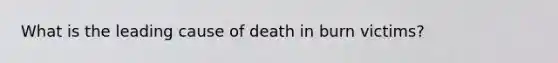 What is the leading cause of death in burn victims?