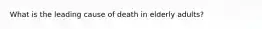 What is the leading cause of death in elderly adults?