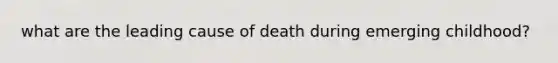 what are the leading cause of death during emerging childhood?