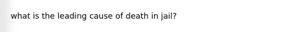 what is the leading cause of death in jail?