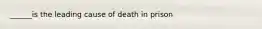 ______is the leading cause of death in prison