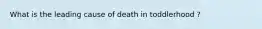 What is the leading cause of death in toddlerhood ?