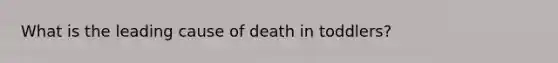 What is the leading cause of death in toddlers?