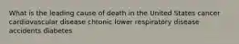 What is the leading cause of death in the United States cancer cardiovascular disease chronic lower respiratory disease accidents diabetes