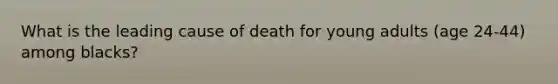 What is the leading cause of death for young adults (age 24-44) among blacks?