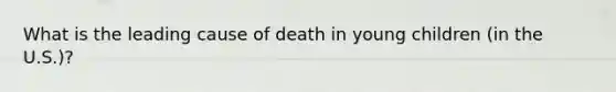 What is the leading cause of death in young children (in the U.S.)?