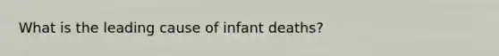 What is the leading cause of infant deaths?