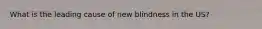 What is the leading cause of new blindness in the US?