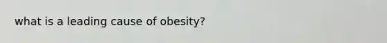 what is a leading cause of obesity?