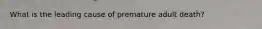 What is the leading cause of premature adult death?