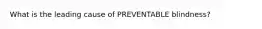 What is the leading cause of PREVENTABLE blindness?