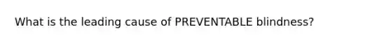 What is the leading cause of PREVENTABLE blindness?