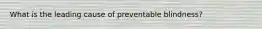 What is the leading cause of preventable blindness?