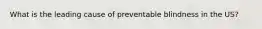 What is the leading cause of preventable blindness in the US?