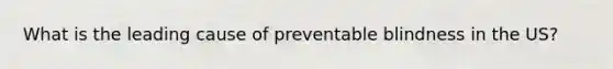 What is the leading cause of preventable blindness in the US?